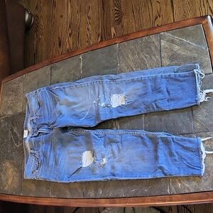 Hudson Brand Muse Crop Jeans